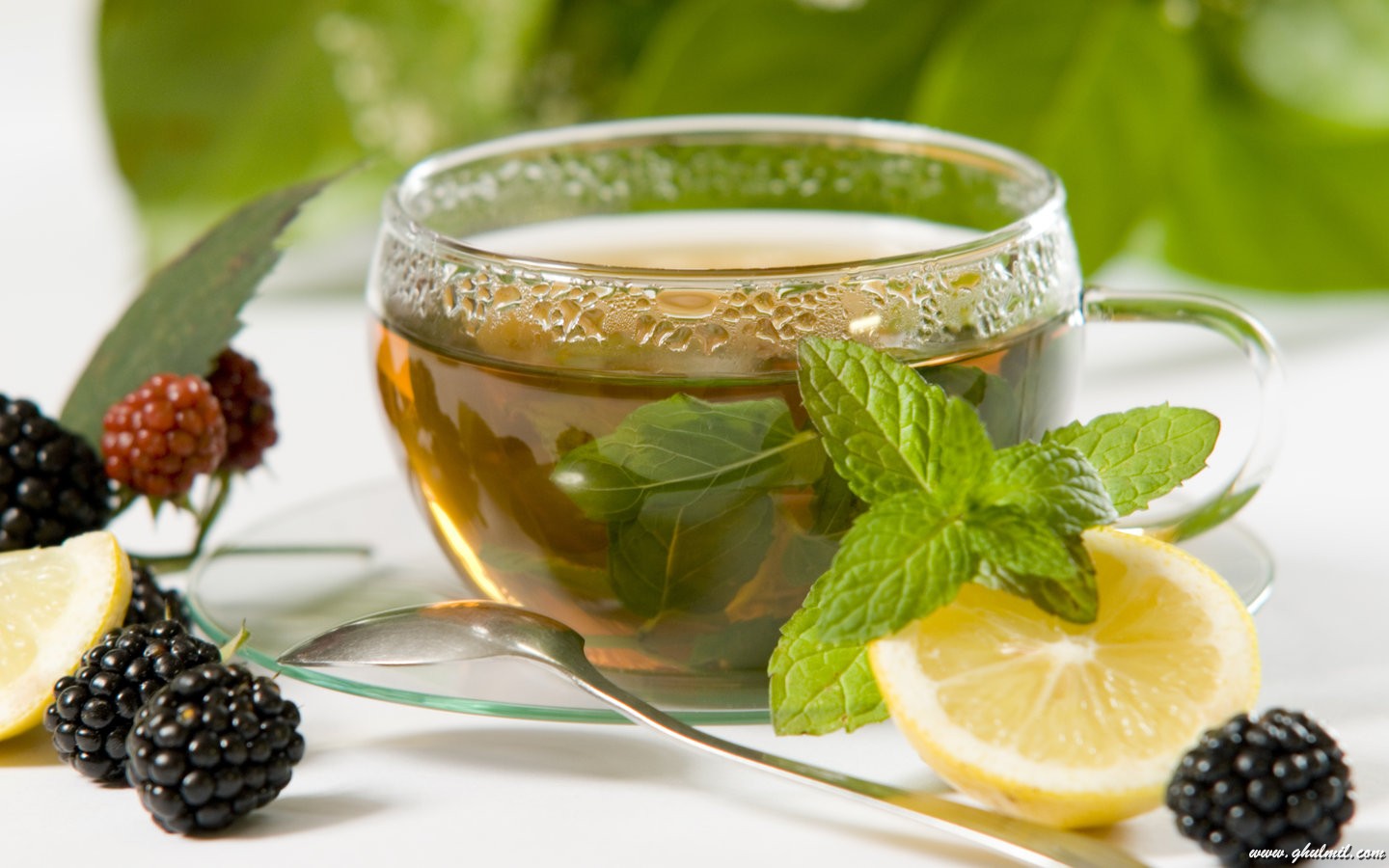 green-tea weight loss products